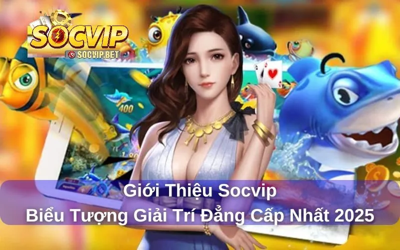 Giới thiệu chi tiết về SOCVIP