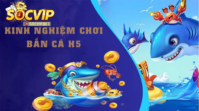 Kinh nghiệm chơi dành cho người chơi