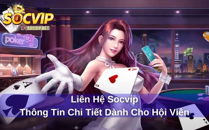 Liên hệ với SOCVIP để được hỗ trợ