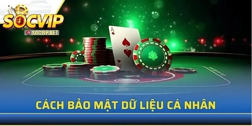 Thông tin mà SOCVIP thu thập được