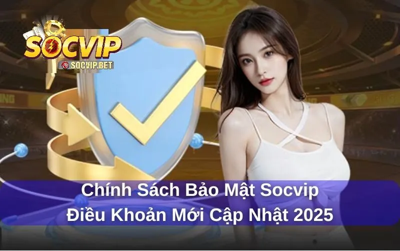 Tổng quan chính sách bảo mật của SOVIP